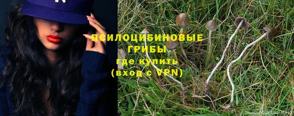 стафф Белокуриха