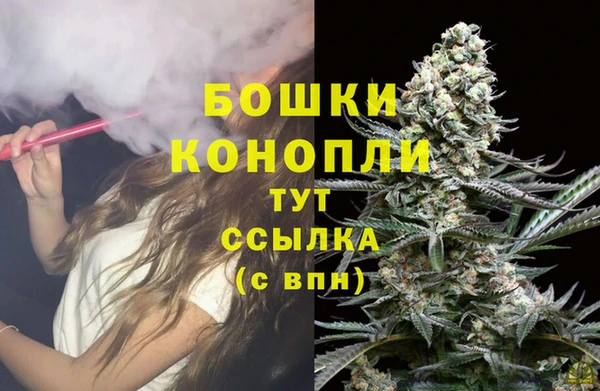 прущие грибы Балабаново